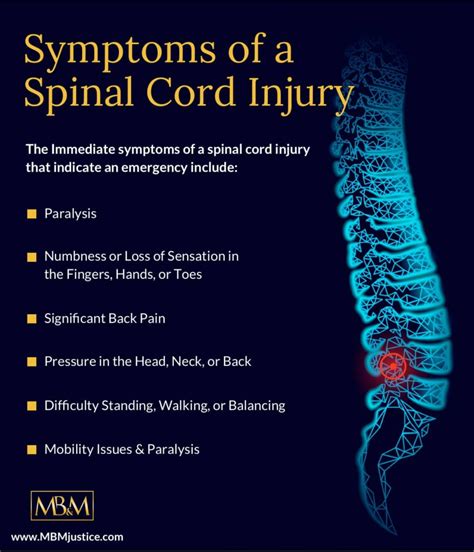 Spinal Cord Injury Types Causes Symptoms Diagnosis And Treatment - Bank2home.com