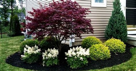 887d43c4e0a06663562895522797fc23.jpg (600×315) | Front yard landscaping design, Outdoor ...