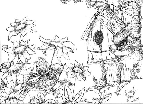 Bird House Drawing by Scarlett Royal - Fine Art America