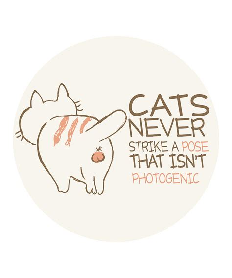 Funny cats quote funny cat quotes funny cat meme sarcastic cat texting crazy cat lady quote cat ...