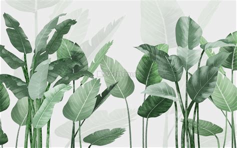 High Resolution Tropical Leaves Wallpaper Hd ~ Murwall Leaf Wallpaper Tropical Leaves Wall ...