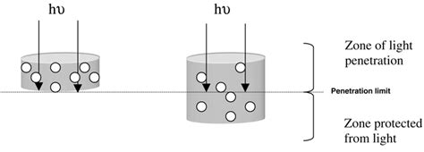 Schematic representation of the shielding effect. | Download Scientific Diagram