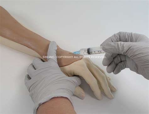 Intravenous Injection Arm Trainer - SINI Medical Simulation