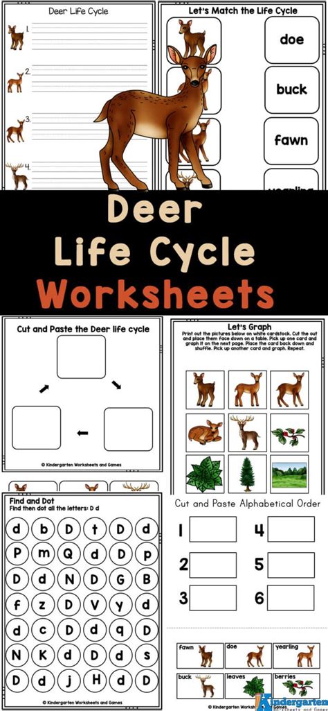 FREE Ant Life Cycle for Kids Printable Worksheets