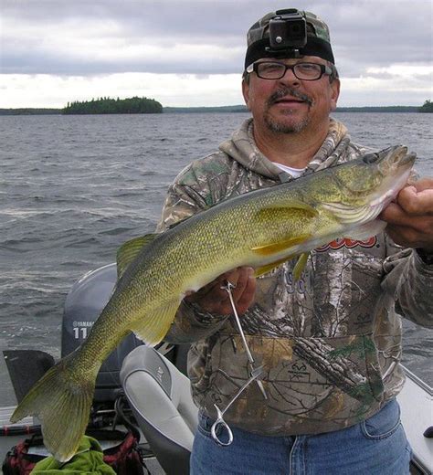 Top Five Walleye Fishing Tips | Walleye fishing, Walleye fishing lures ...