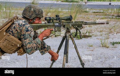 U.S. Marine scout sniper fires his rifle Stock Photo - Alamy