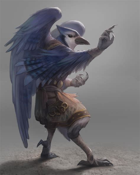 [RF] Henk the blue jay Aaracokran monk (way of the open hand) art by u ...