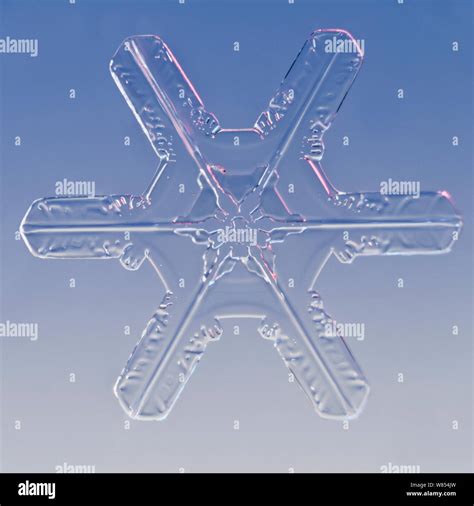 Snowflake magnified under microscope, Lilehammer, Norway Stock Photo - Alamy