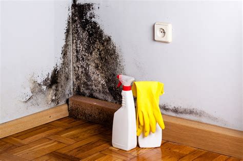 Nix Your Mildew Problems In 7 Easy Steps