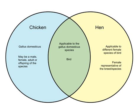 Difference between Chicken and Hen - diff.wiki