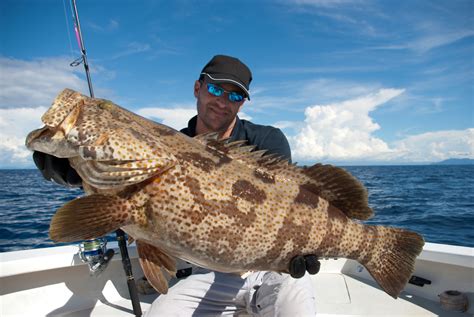 Grouper Fishing - Ambush Fishing