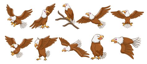 Eagle Cartoon Set 941446 Vector Art at Vecteezy