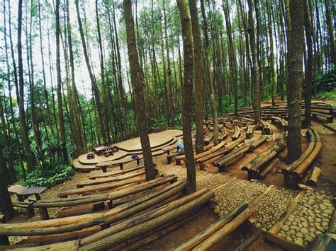 Hutan Pinus Mangunan Yogyakarta - Lokasi, Rute dan Harga Tiket