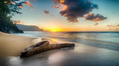 5120x2880 Driftwood On Beach At Sunset On North Shore Of Kauai 8k 5K ...