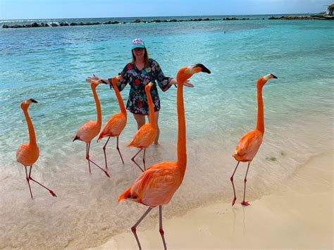 Everything you need to know about visiting Flamingo Beach, Aruba! — The Sweetest Escapes