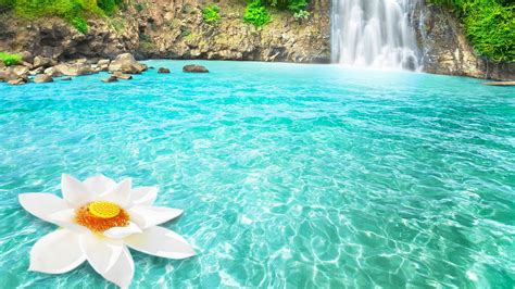 Waterfall Flowers 4K HD Wallpapers | HD Wallpapers | ID #31587