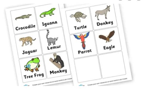 Mexican Animals | Facts for Kids | Teaching Wiki - Twinkl