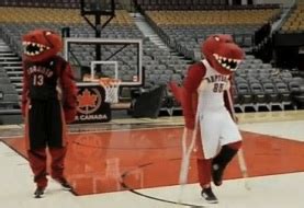 Raptors set to introduce Stripes, the 2013-14 Raptors mascot - Raptors Republic