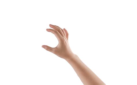 Grasping White Transparent, Palm Grasp Realistic, Hand, Finger, Palm PNG Image For Free Download