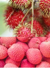 Rambutan Vs. Lychee: Fruit, Smell, Taste, and More - Foodsalternative