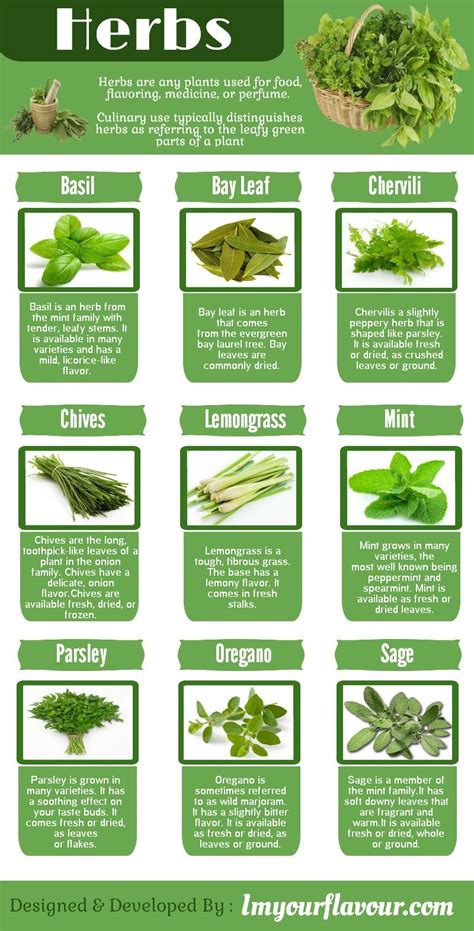 How To Use Herbs In Cooking - foodrecipestory