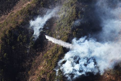 Soldiers join the fight against wildfire in South Korea | Article | The United States Army