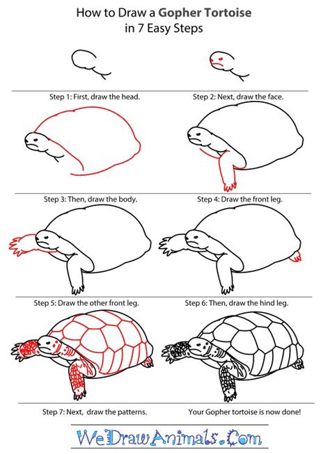 Tortoise Drawing For Kids / How To Draw A Turtle - Preschool - Art For Kids Hub / Finally we ...