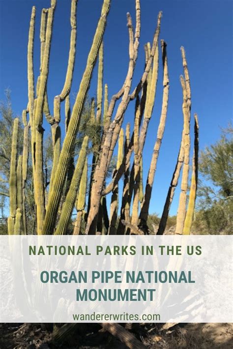 Organ Pipe National Monument: A Unique Patch of Desert - Wanderer Writes