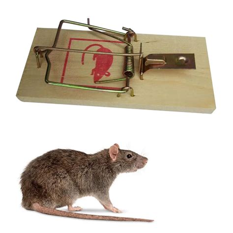 Reusable Wooden Mouse Traps Bait Mice Vermin Rodent Pest Control Mousetraps Trap Home Garden ...