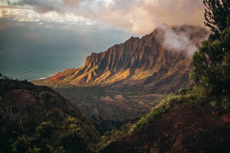 Best Bird Watching Locations in Hawaii 2020 - Wild Bird World