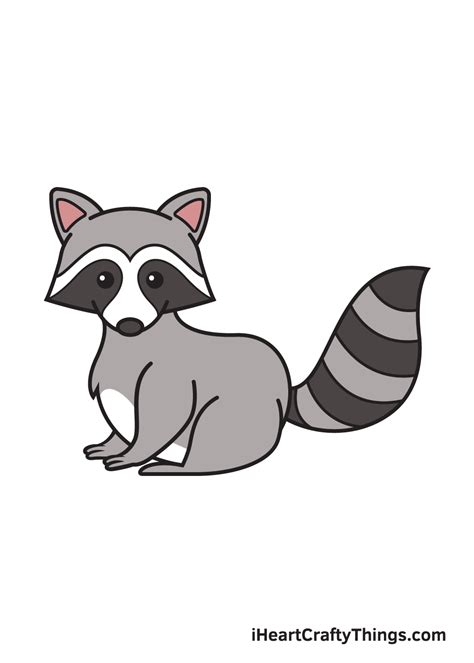 Raccoon Drawing - How To Draw A Raccoon Step By Step