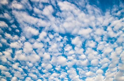 Best Altocumulus Clouds Stock Photos, Pictures & Royalty-Free Images - iStock