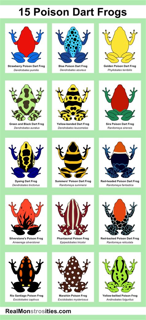 Real Monstrosities: 15 Poison Dart Frogs