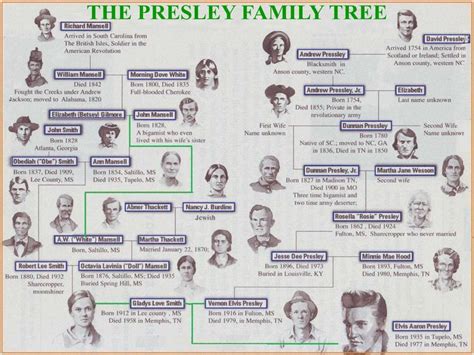 Presley family tree Elvis Presley Family, Elvis Presley Photos, Priscilla Presley, Family Tree ...