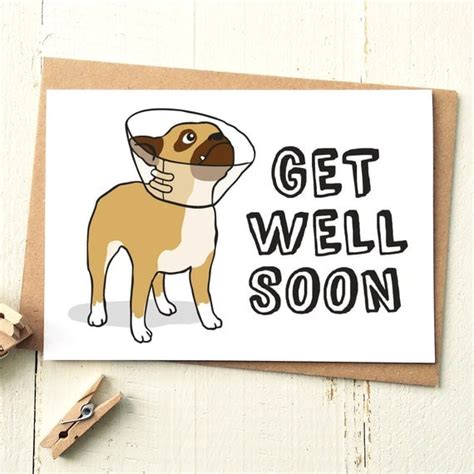 Funny Get Well Card Get Well Soon Card Dog Card Get Well