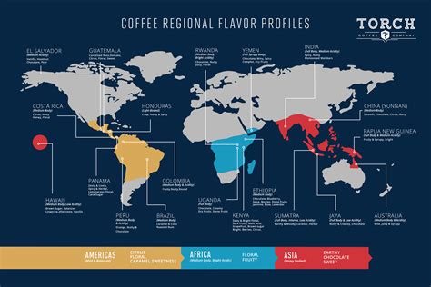 Resources-Torch Coffee Labs