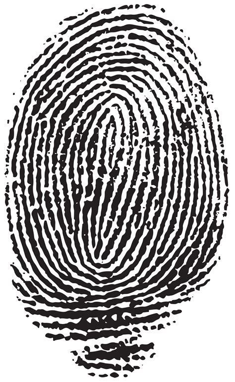 Fingerprint PNG