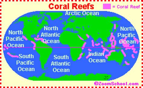 Coral Reef Map - Dr. Franks' ESL