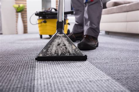 Dry Carpet Cleaning Photo : Pro Carpet Cleaning Sydney Sydney NSW