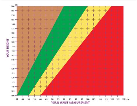 Waist Hip Measurement Calculator at Erik Schmeling blog