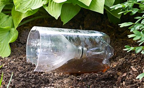 7 Ways to Upcycle Plastic Bottles in the Garden | Garden Gate