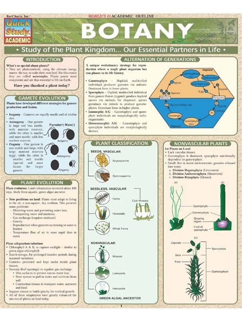 Botany-QuickStudy.pdf