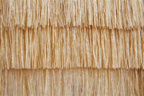 3,627 Texture Straw Roof Stock Photos - Free & Royalty-Free Stock Photos from Dreamstime