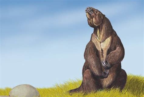 Did humans cause the extinction of the giant ground sloths? - The Sloth Conservation Foundation