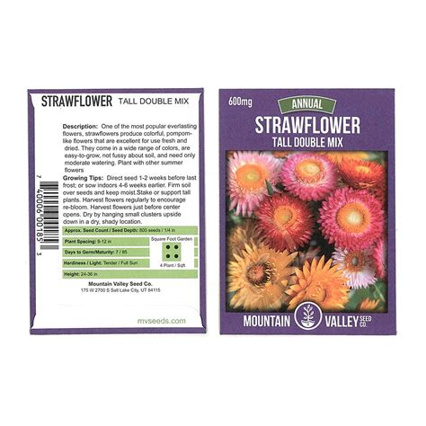 Strawflower Flower Garden Seeds - Tall Double Mix - 600 mg Packet ...