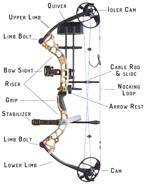 How Does A Compound Bow Work? | ArcheryStreet.com