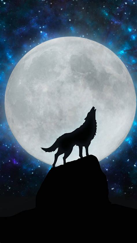 Wolf Howling Wallpaper Hd