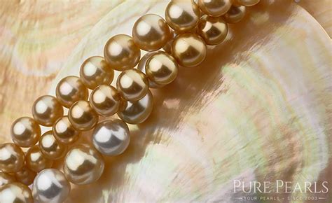 Pearl Types 101 - Akoya, Tahitian, Freshwater & South Sea Pearls - Pure Pearls