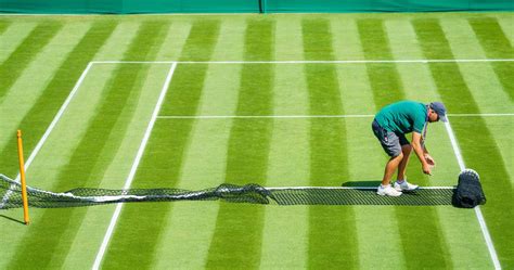 10 questions you have about grass-court tennis: serve and volley, specialists - updated with ...