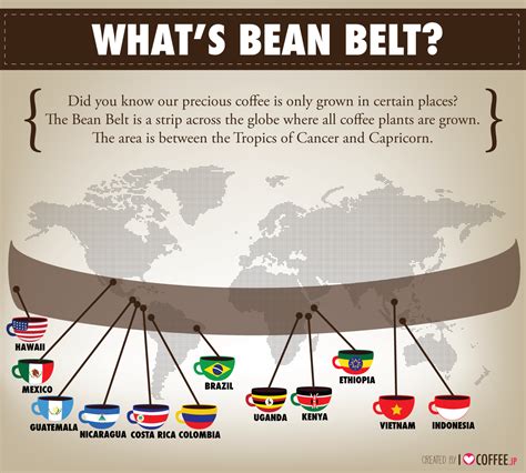 Coffee Bean Belt Map